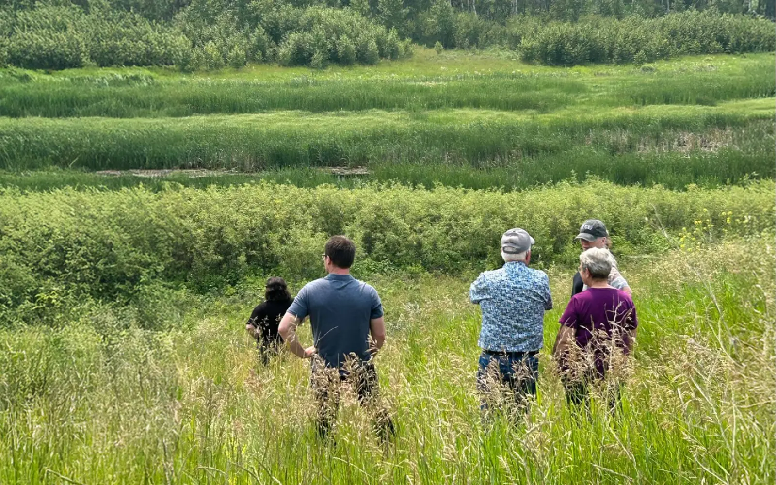 A group of five people, three men and two women, standing in a field looking as a group out toward the horizon as if studying the land