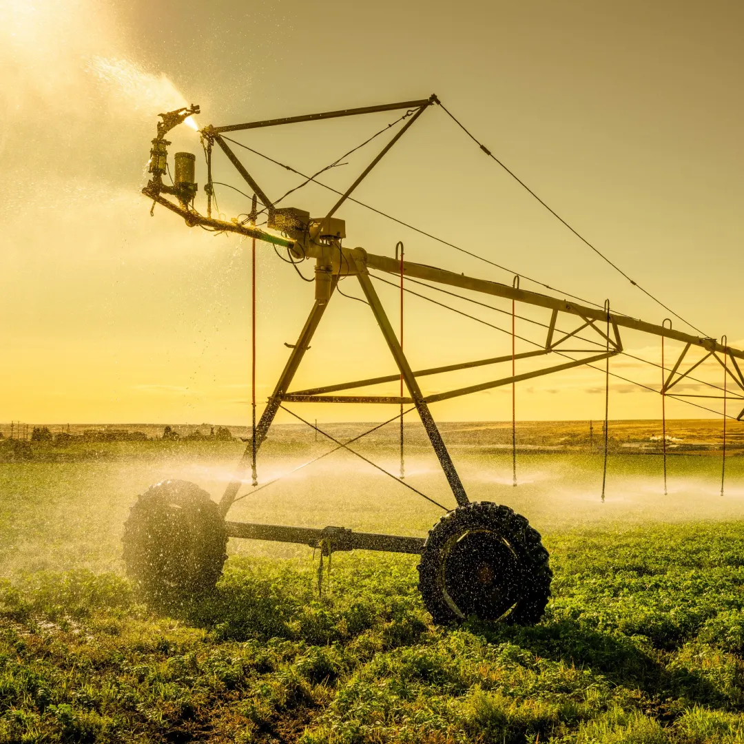 hub irrigation.